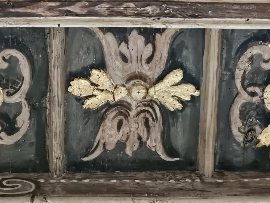 Particolare cassettoni Sala dal Soffitto d'Oro Piano Nobile Palazzo Saluzzo Paesana