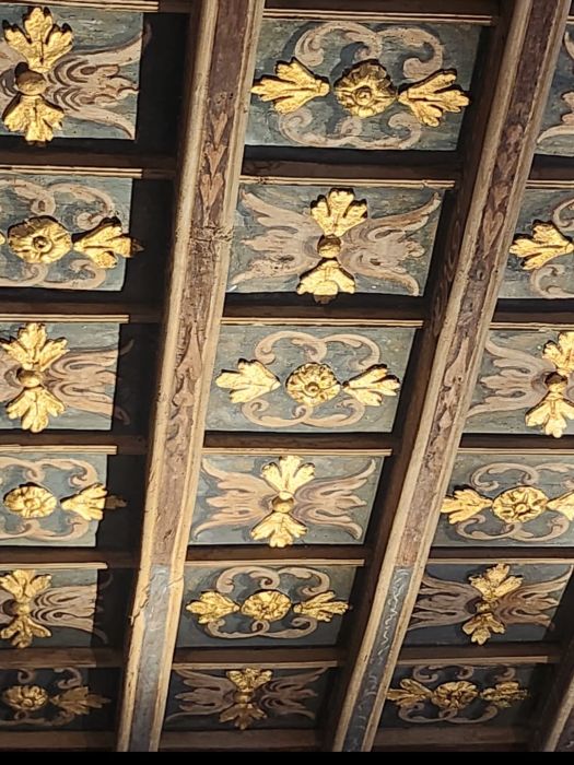 Cassettoni Sala dal Soffitto d'Oro Piano Nobile Palazzo Saluzzo Paesana