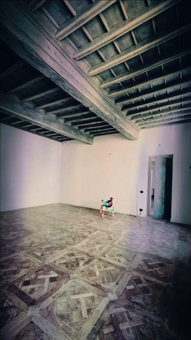 Salone delle udienze del Piano Nobile all'interno di Palazzo Saluzzo Paesana